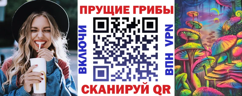 Псилоцибиновые грибы Psilocybe  Кировград 